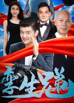 孪生兄弟电影海报
