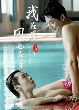 我在等，风也在等电影海报