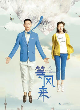 等风来（2013）