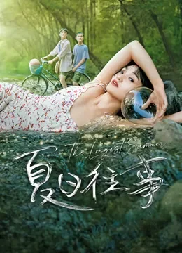 夏日往事电影海报