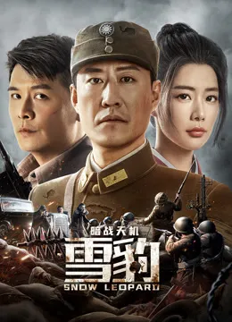 雪豹之暗战天机电影海报