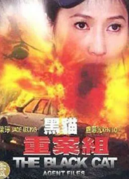 黑猫重案组电影海报
