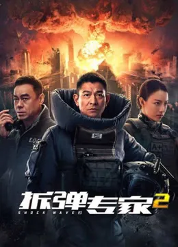 拆弹专家2电影海报