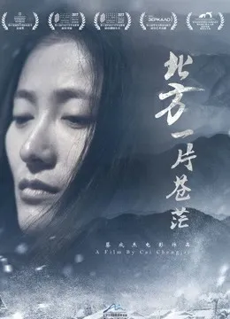 北方一片苍茫电影海报