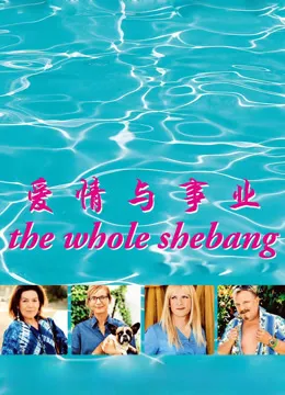 爱情与事业电影海报