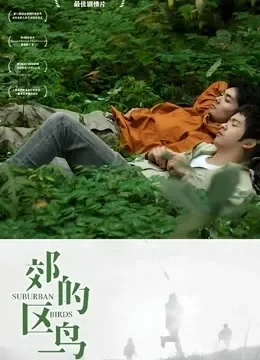郊区的鸟电影海报