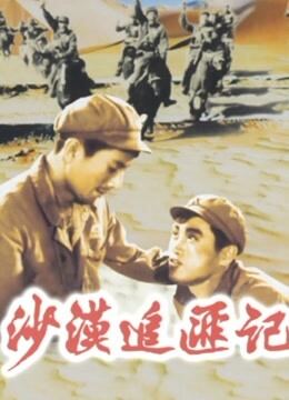 沙漠追匪记