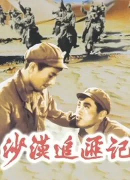 沙漠追匪记电影海报