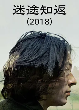 迷途知返（2018）电影海报