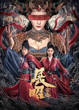 展昭·探案电影海报