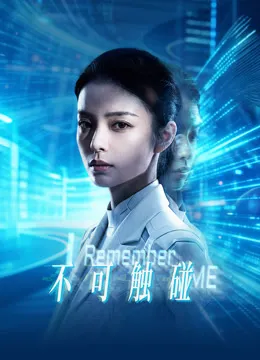 不可触碰电影海报