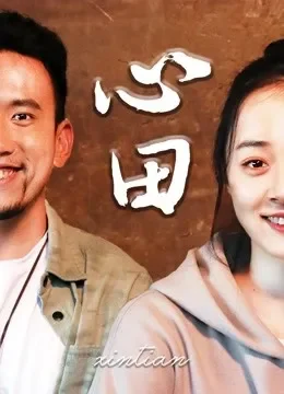 心田电影海报