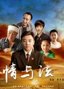 情与法2016电影海报