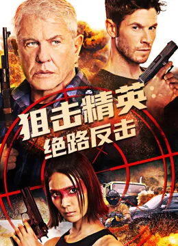 狙击精英：绝路反击电影海报