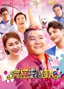 疯岳撬佳人电影海报