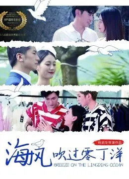 海风吹过零丁洋电影海报