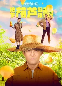 我来自北京之按下葫芦起来梨电影海报