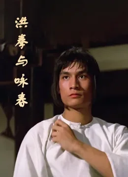 洪拳与咏春电影海报
