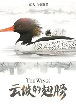 云做的翅膀电影海报