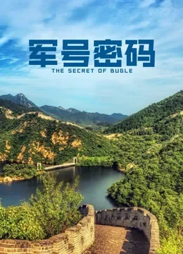 军号密码电影海报