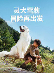 灵犬雪莉:冒险再出发