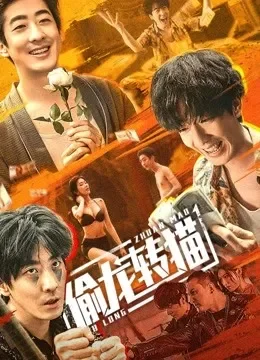偷龙转猫电影海报