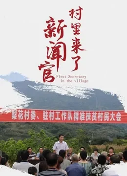 村里来了新闻官电影海报
