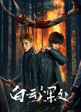 白云深处电影海报