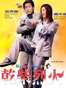 干柴烈火（2002）