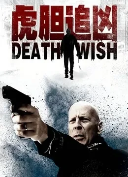 虎胆追凶电影海报