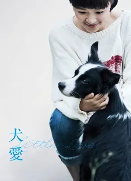 犬爱电影海报