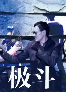极斗电影海报