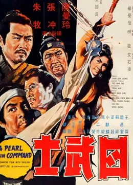 四武士电影海报