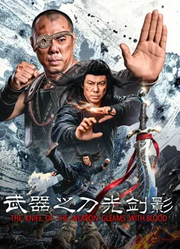 武器之刀光剑影电影海报