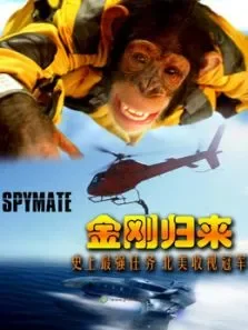 金刚归来（国语）电影海报