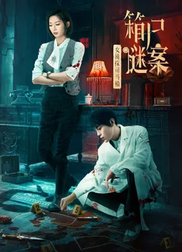 女侦探司马楠之箱尸谜案电影海报