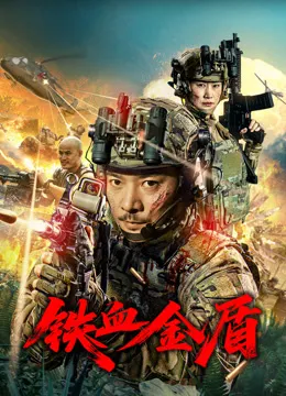 铁血金盾电影海报