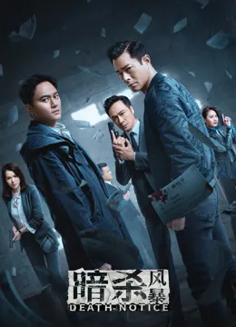 暗杀风暴电影海报
