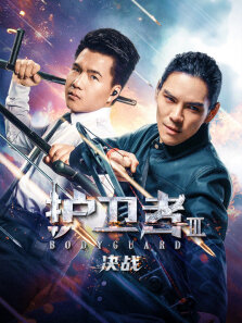 护卫者3:决战