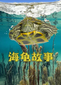 海龟故事电影海报