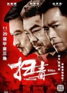扫毒粤语电影海报