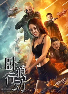 卧狼行动电影海报
