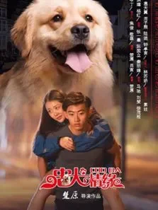 忠犬情缘电影海报