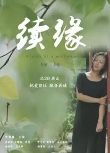 续缘电影海报