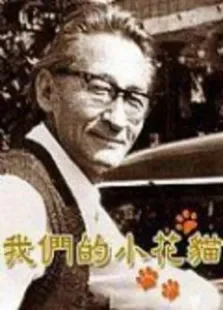 我们的小花猫电影海报