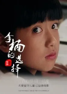 李楠的选择电影海报