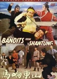 山东响马电影海报