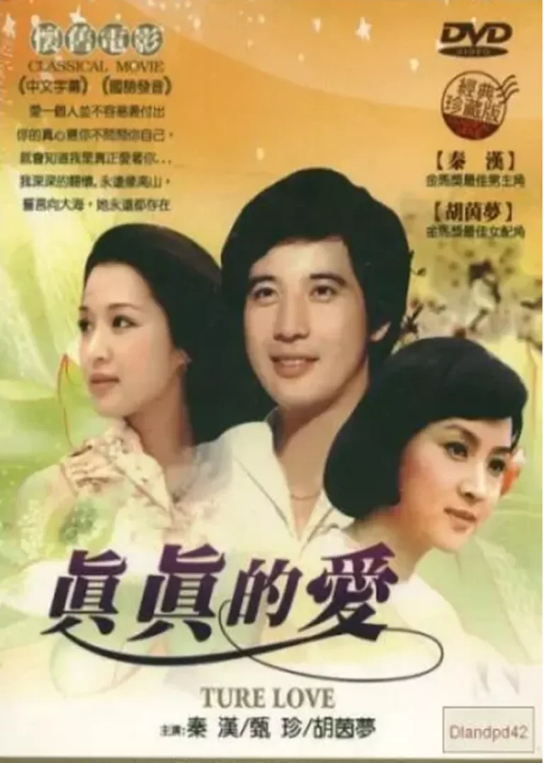 真真的爱电影海报