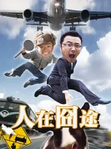 人在囧途（王宝强徐铮）电影海报