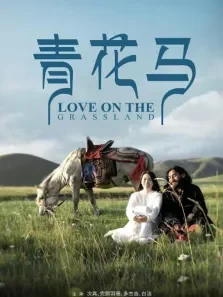 青花马电影海报